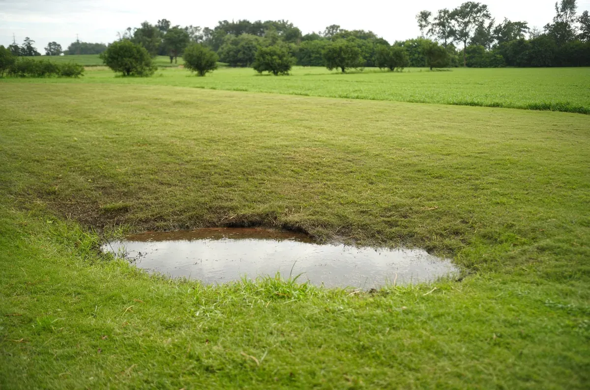 Standing water and saturated grass in a low area of a mown lawn on a rural Iowa property